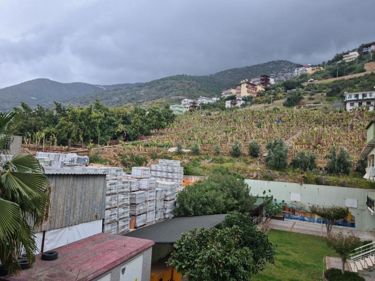 Kleopatra Sultan Rezidans Apartment Alanya Ngoại thất bức ảnh